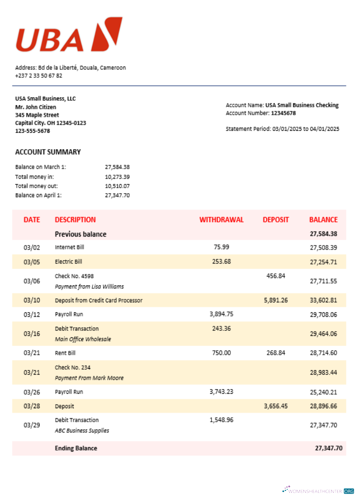 Download UBA company statement Word and PDF format Photoshop template